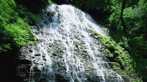 高质量电子高端